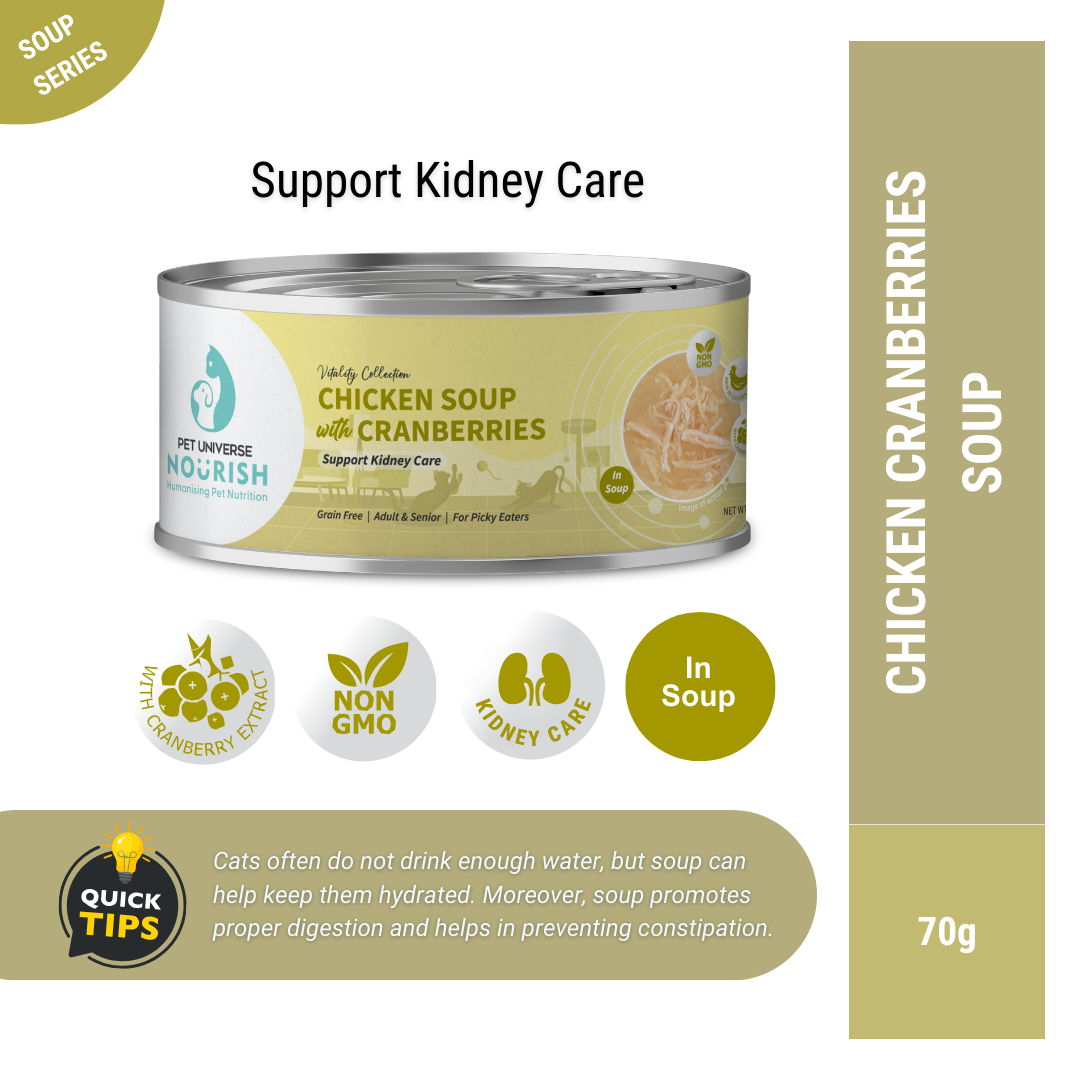 Soup Kidney Care