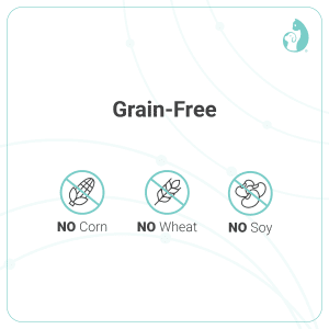 VDE - Digestive & Weight Control (CT)-04