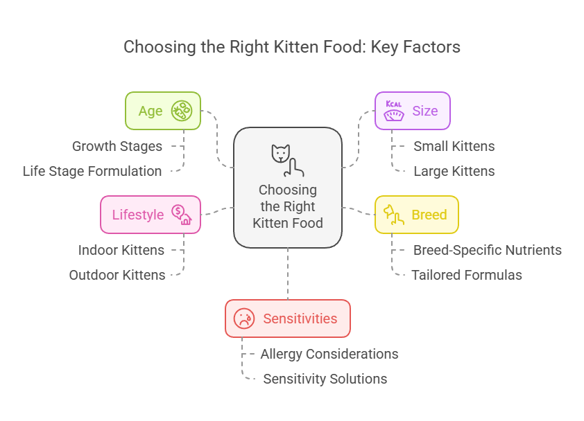 Choosing right kitten food | Beginner Guide to Feeding Kittens