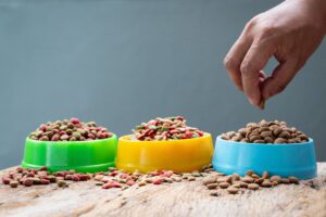hand holding plastic bowl full with dog food on gray background