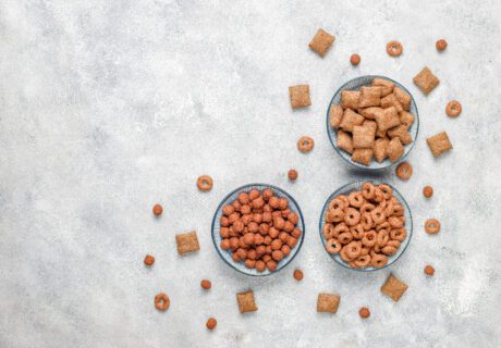 All About Kibbles | Featured Image | Nourish