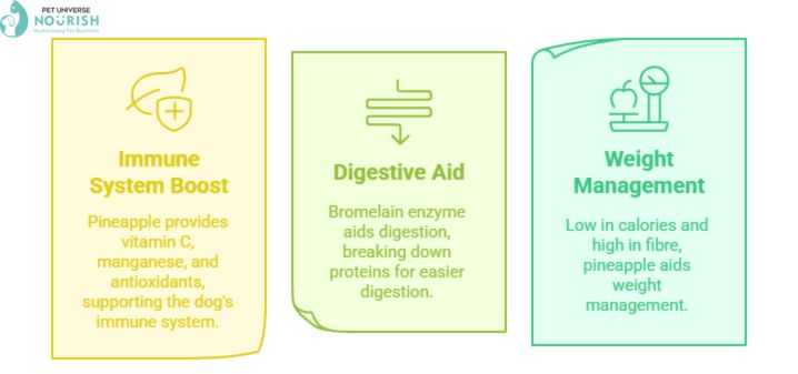Benefits Of Dogs Eating Pineapple