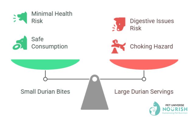 Is It Safe For Dogs To Eat Durian