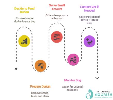 Steps To Feed Your Dog Durian
