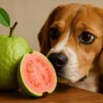 Featured Image | Can Dog Eat Guava | Nourish