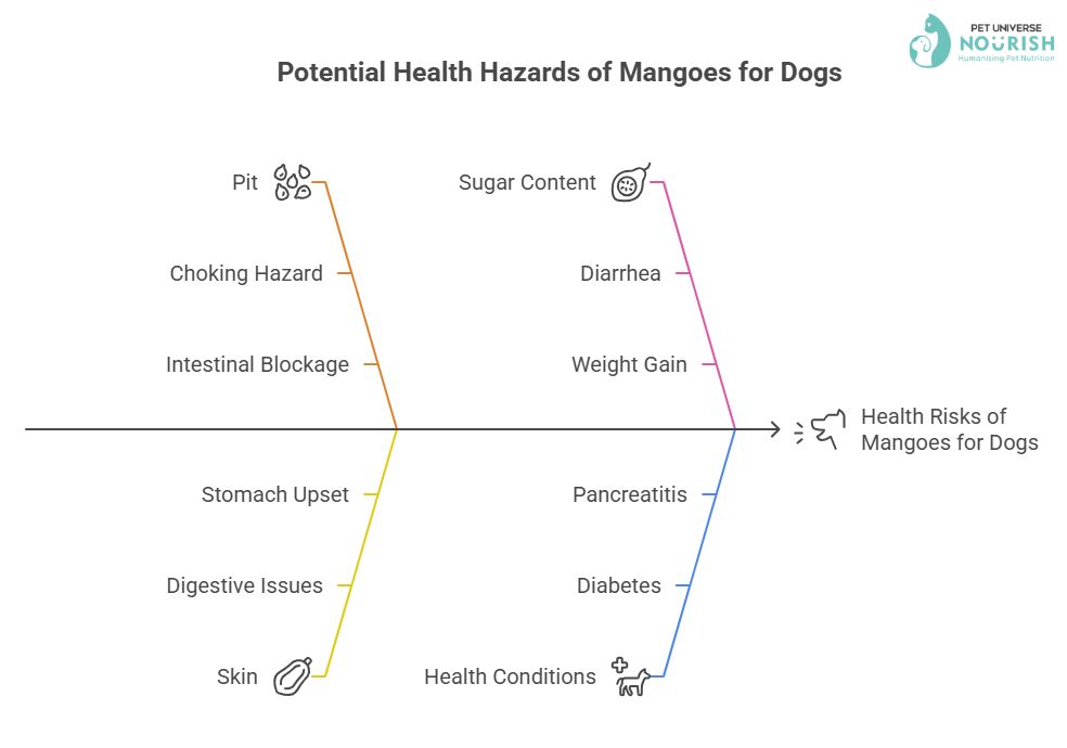 Potential Health Hazards for Dogs Eating Mangoes | Nourish