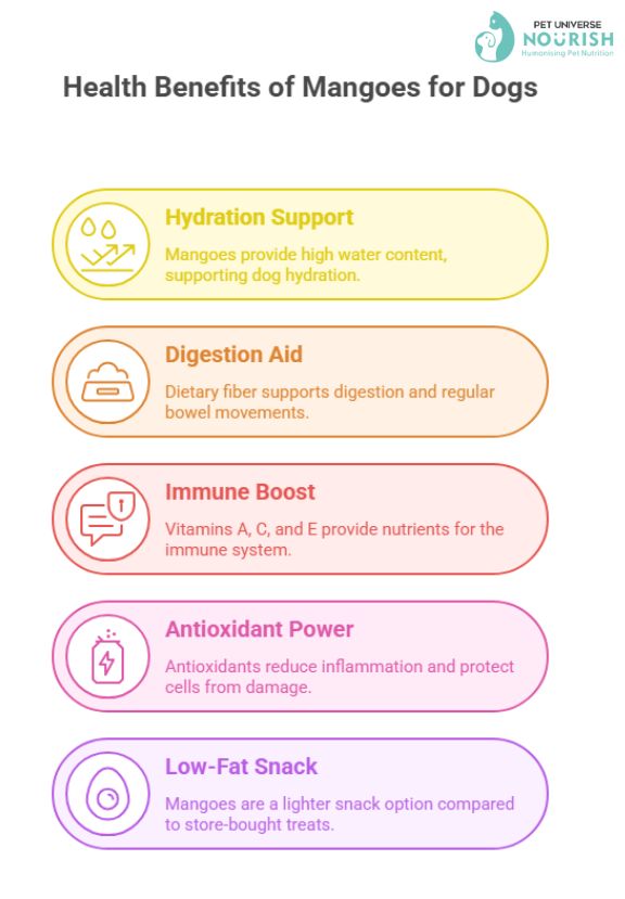 Is Mango Good for Dogs | Nourish