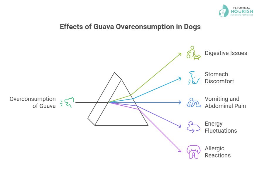 Side Effects of Overconsumption of Guava | Can Dogs Eat Guava | Nourish