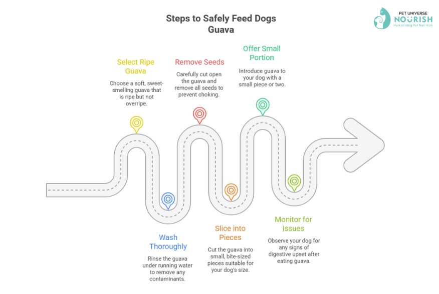 Steps To Safely Feed Your Dogs Guava | Can Dogs Eat Guava | Nourish