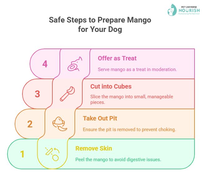 Steps to Feed Your Dog | Nourish