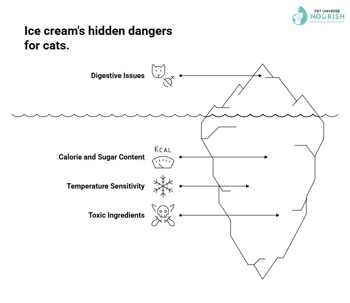 Hidden Damages for Cats Eating Ice Cream | Can Cat Eat Ice Cream | Nourish